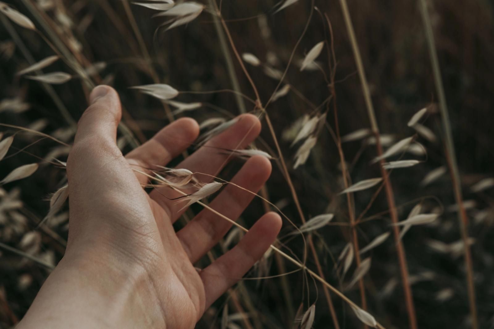 Ausgestreckte Hand berührt Blätter und Zweige in der Natur.
