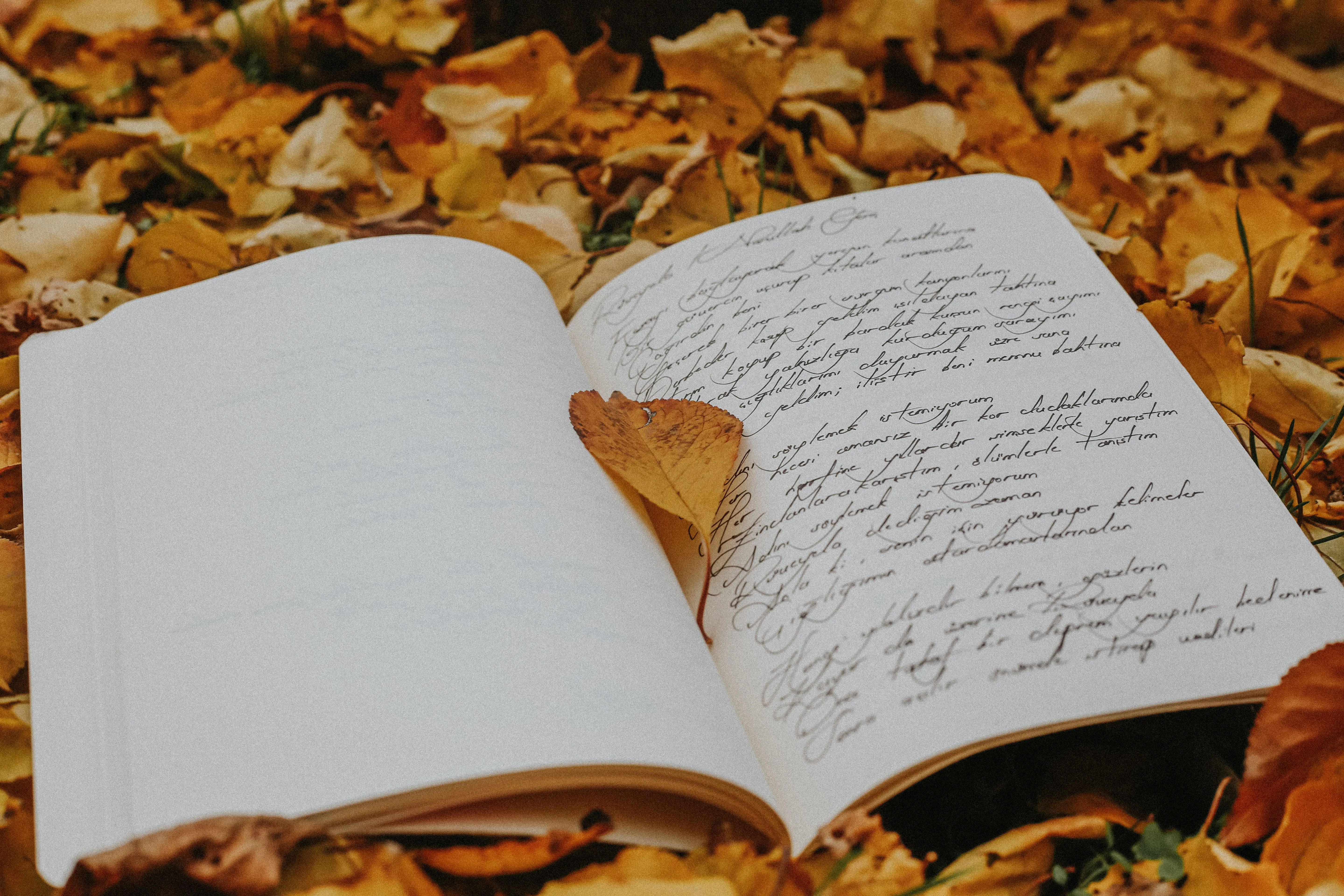 Ein aufgeschlagenes Notizbuch mit handschriftlichen Zeilen liegt auf herbstlichem Laub, ein Blatt zwischen den Seiten.