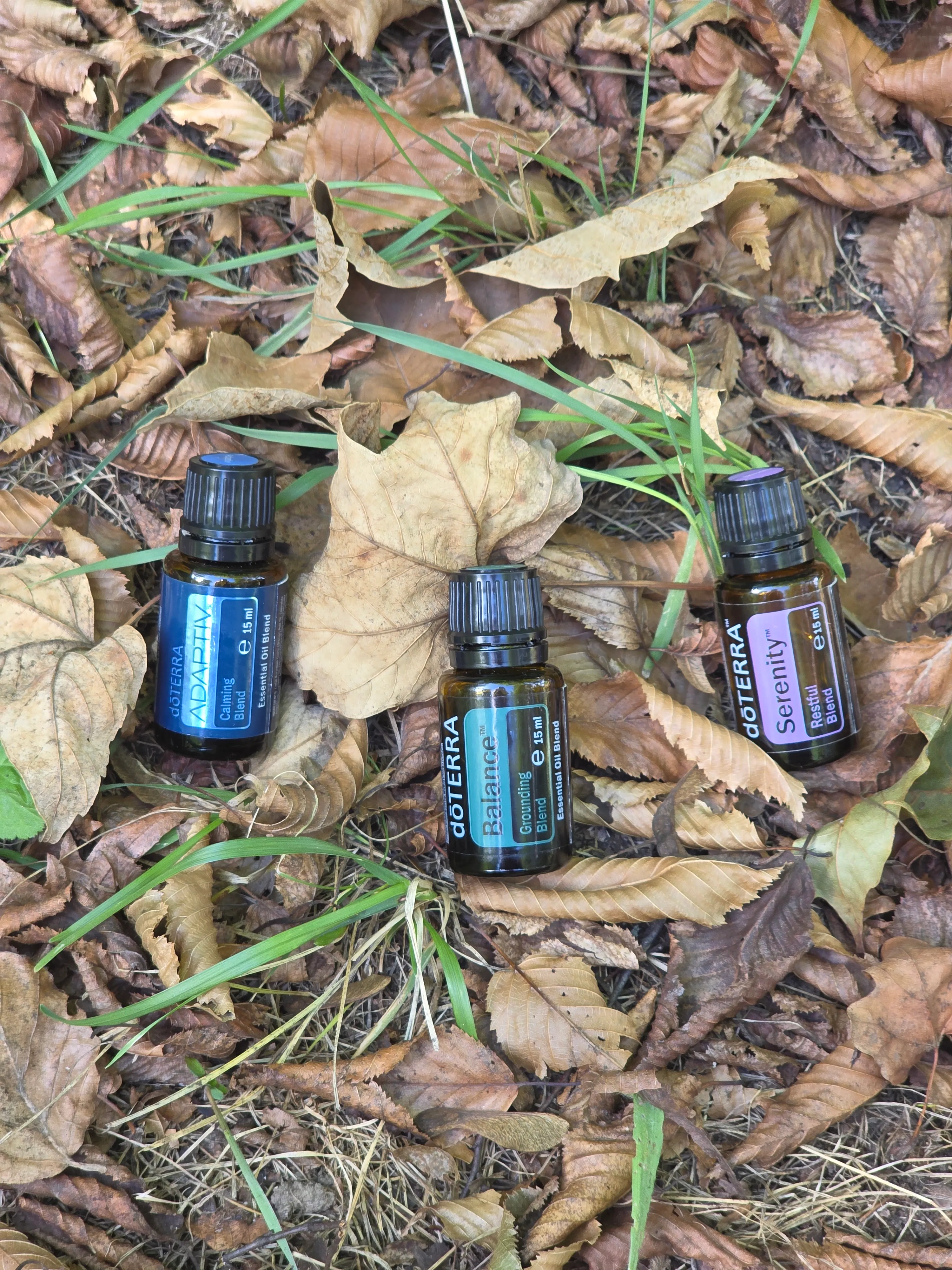 Drei dōTERRA Fläschchen liegen nebeneinander auf trockenem Buchenlaub am Waldboden.