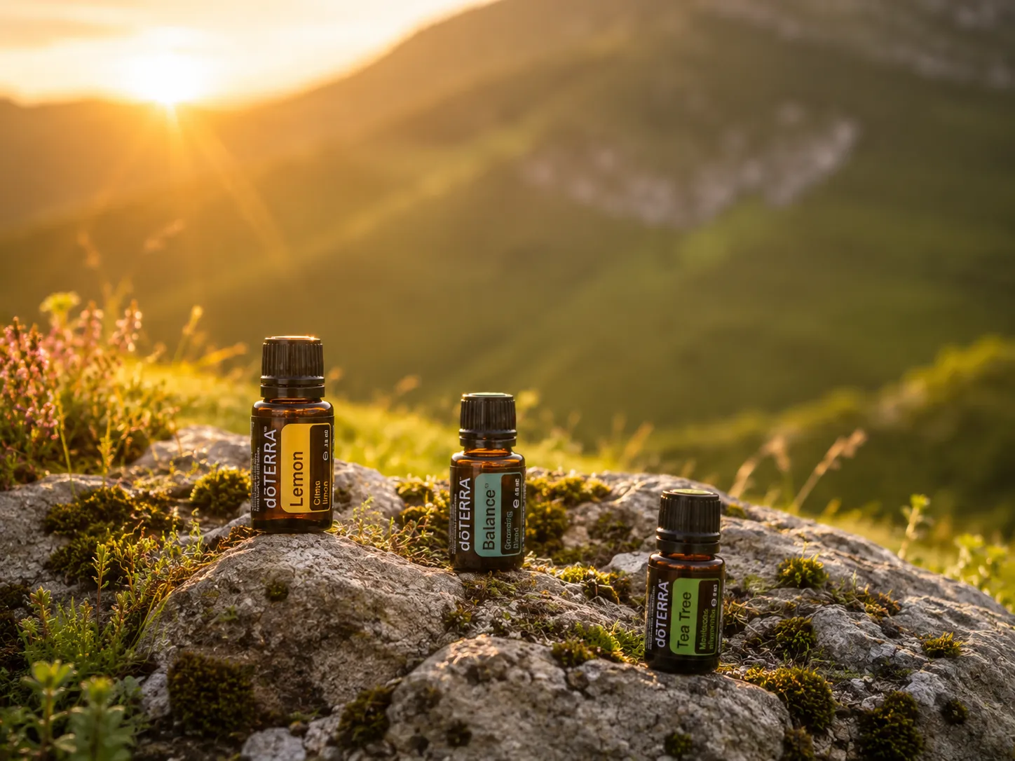 Drei dōTERRA Fläschchen – Lemon, Balance und Tea Tree – stehen auf einem Felsen vor einem Bergtal bei Sonnenaufgang.