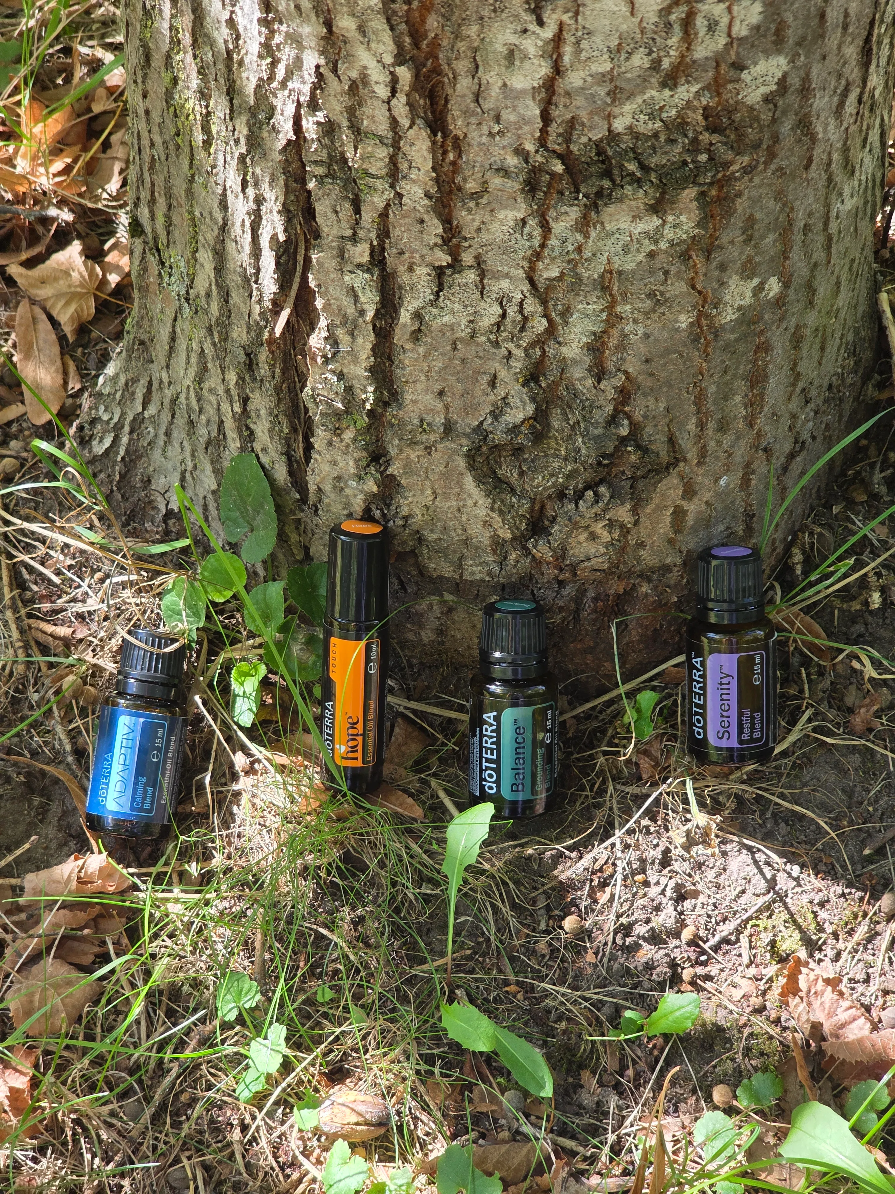Vier dōTERRA Fläschchen stehen in einer Reihe am Fuß eines bemoosten Baumstamms im Wald.